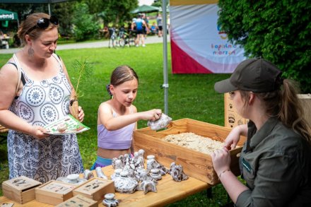 24. Piknik Leśny